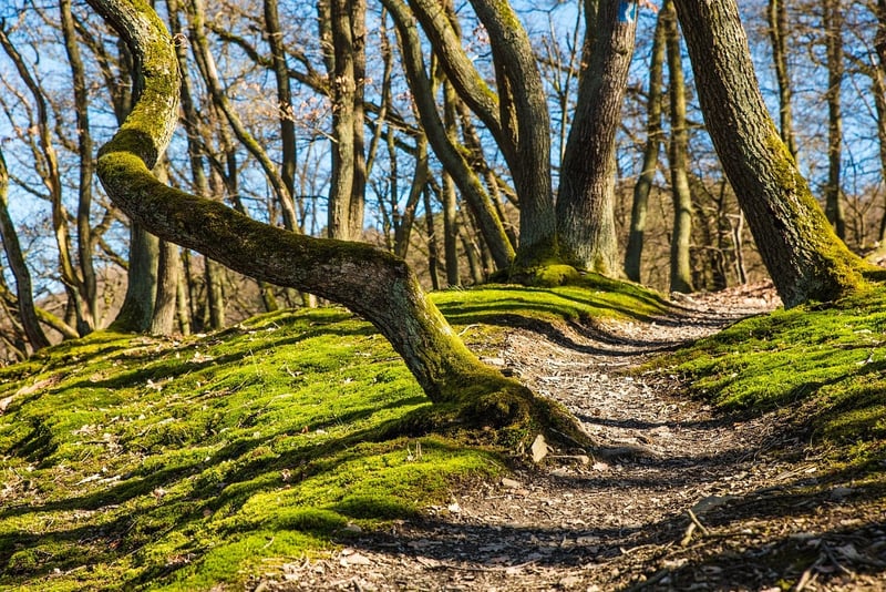 Hiking at Winding Trails